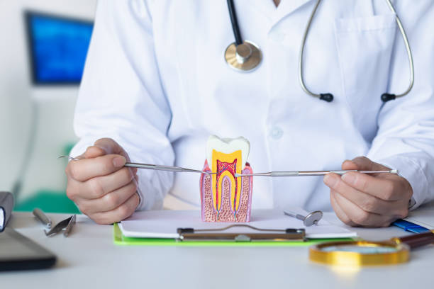 Best Emergency Broken Tooth Repair in Hurst, TX